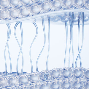Collagen